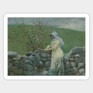 Peach Blossoms by Winslow Homer Magnet